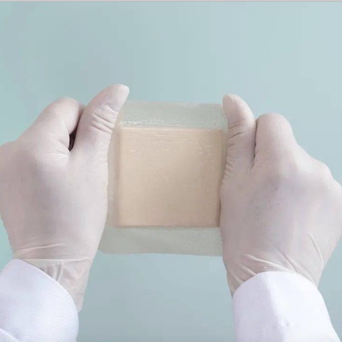 ما هي أنواع البكتيريا التي يقاومها فيلم TPU الطبي المضاد للبكتيريا؟